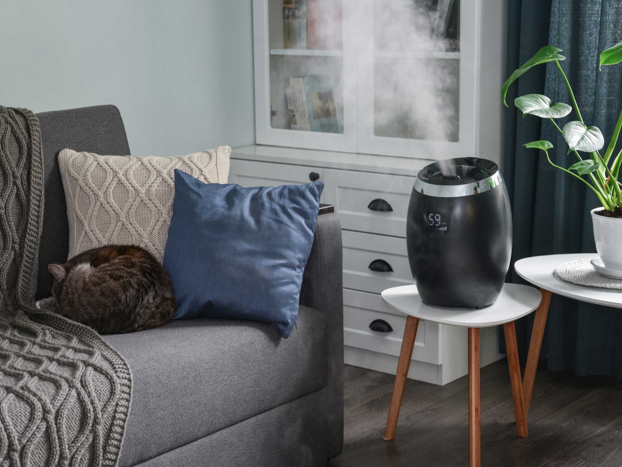 5-Tips-for-Buying-a-Humidifier